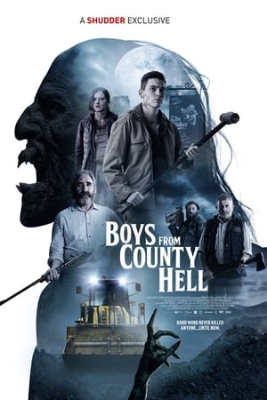 Descargar Boys from County Hell Torrent