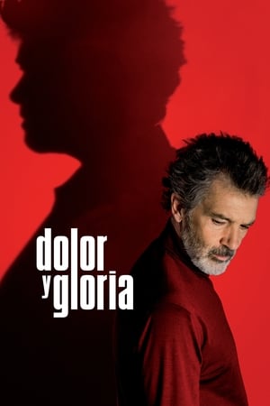 Descargar Dolor y gloria Torrent