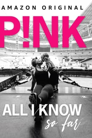 Descargar P!NK: All I Know So Far Torrent