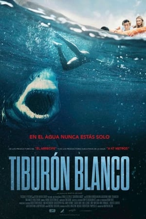 Descargar Tiburón blanco Torrent