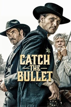 Descargar Catch the Bullet Torrent