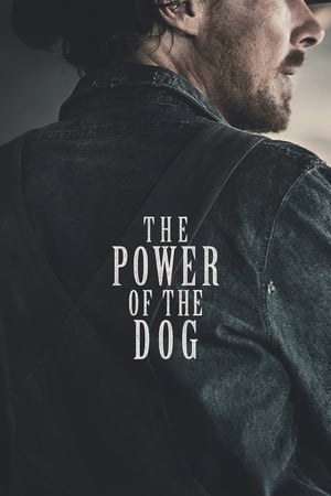 Descargar El poder del perro Torrent