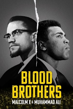 Descargar Hermanos de sangre: Malcolm X y Muhammad Ali Torrent