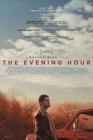 Descargar The Evening Hour Torrent