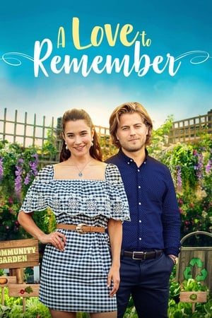 Descargar A Love to Remember Torrent