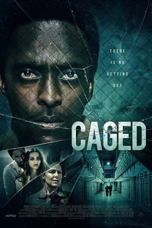 Descargar Caged Torrent