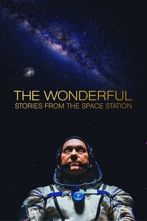 Descargar The Wonderful: Stories from the Space Station Torrent