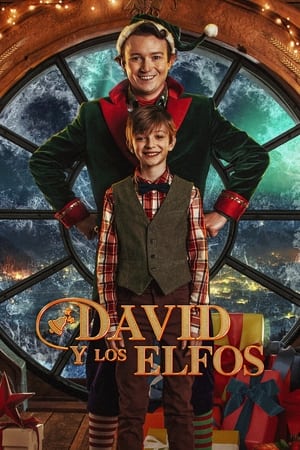 Descargar David y los Elfos Torrent