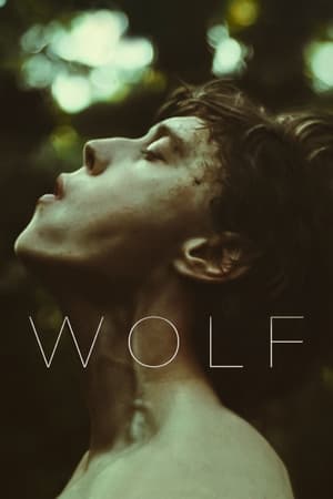 Descargar Wolf Torrent