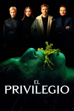 Descargar El privilegio Torrent