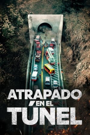 Descargar Atrapado en el Túnel Torrent