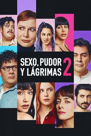 Descargar Sexo, pudor y lágrimas 2 Torrent