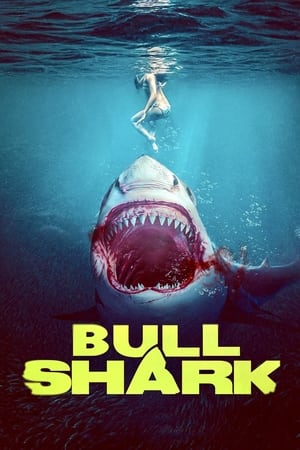 Descargar Bull Shark Torrent