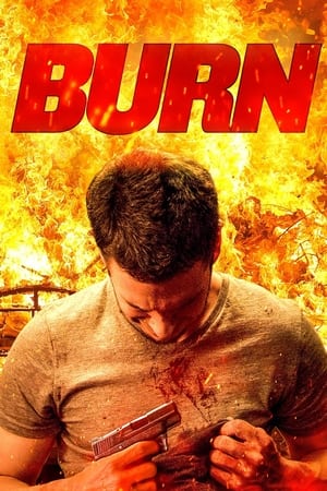 Descargar Burn Torrent