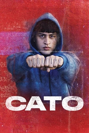 Descargar CATO Torrent