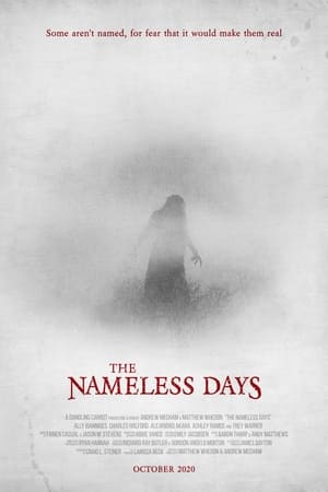 Descargar The Nameless Days Torrent