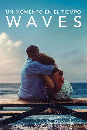 Descargar Un momento en el tiempo (Waves) Torrent