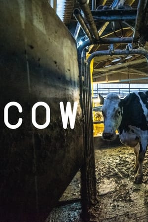 Vaca (Cow)