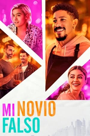 Mi novio falso