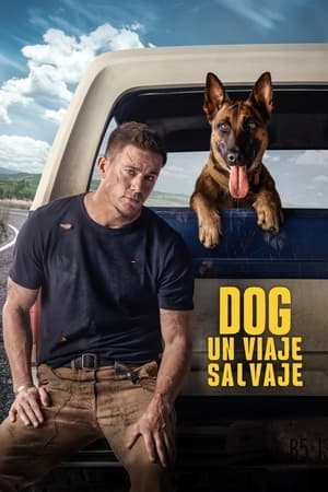 Descargar Dog: Un viaje salvaje Torrent