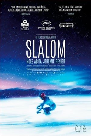 Descargar Slalom Torrent