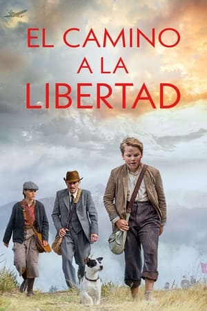 Descargar El Camino a La Libertad Torrent