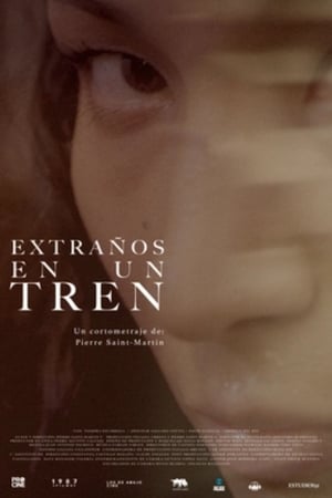 Descargar Extraños en un tren Torrent