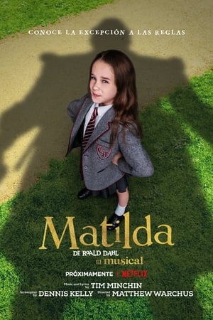 Descargar Matilda, de Roald Dahl: El musical Torrent