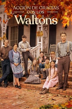 Descargar Acción de gracias con los Waltons Torrent