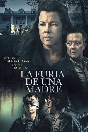 Descargar La furia de una madre Torrent