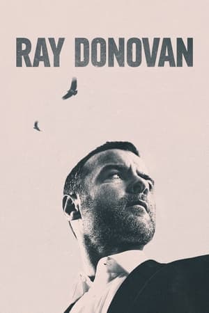 Descargar Ray Donovan, la película Torrent