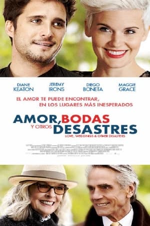 Descargar Amor Bodas y Otros Desastres Torrent