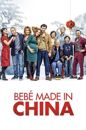 Descargar Bebé made in china Torrent