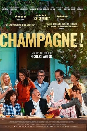 Descargar Champagne ! Torrent