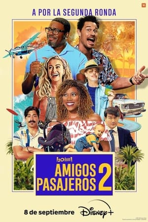 Descargar Amigos pasajeros 2 Torrent