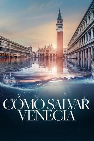 Descargar Cómo salvar Venecia Torrent