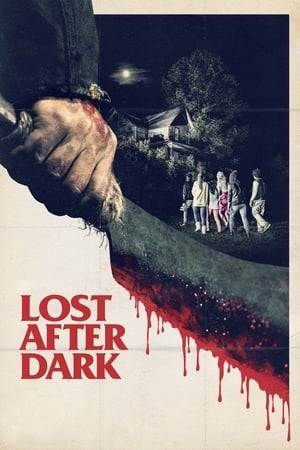 Descargar Lost after dark Torrent