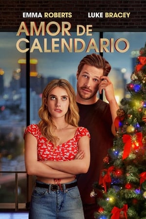 Descargar Amor de calendario Torrent