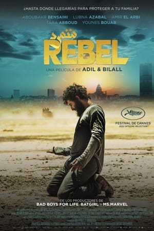 Descargar Rebel Torrent