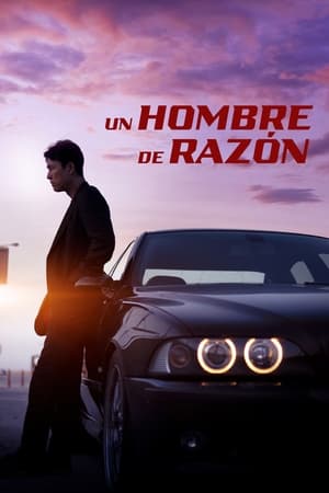 Descargar Un hombre de razón Torrent