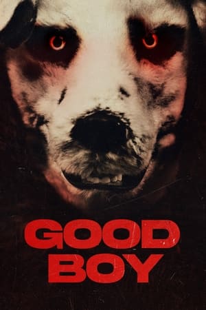 Descargar Good Boy Torrent