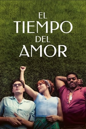 Descargar El tiempo del amor Torrent