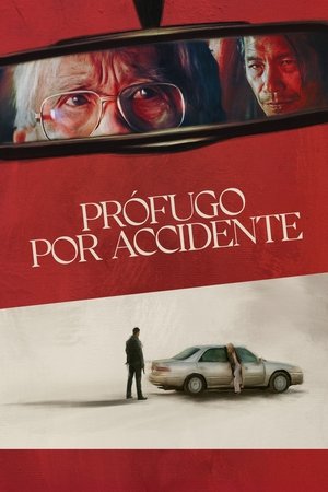 Descargar Prófugo por accidente Torrent