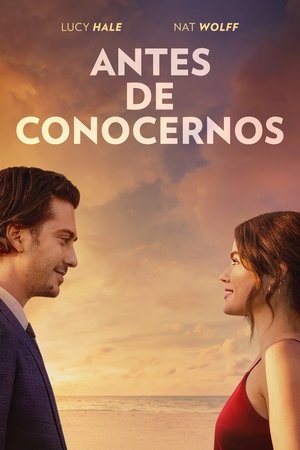 Descargar Todo me lleva a ti Torrent