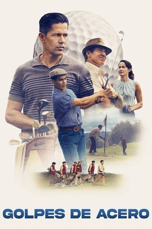 Descargar Golpes de acero Torrent