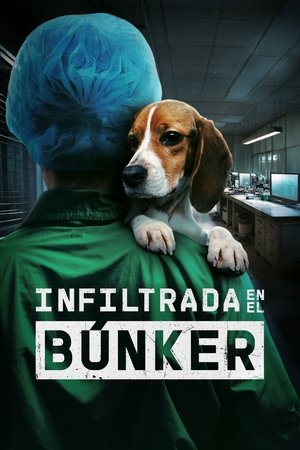 Descargar Infiltrada en el búnker Torrent