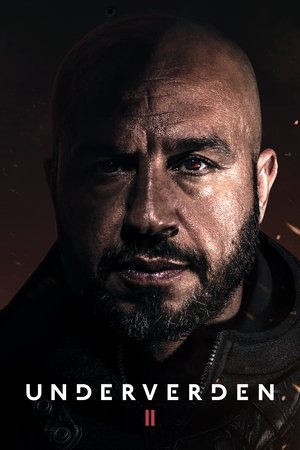 Descargar Darkland: The Return Torrent