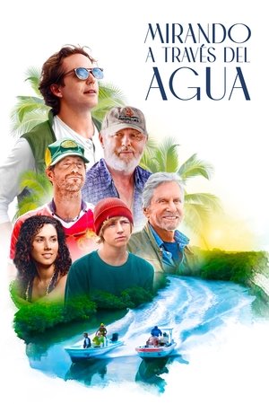 Descargar Mirando a través del agua Torrent