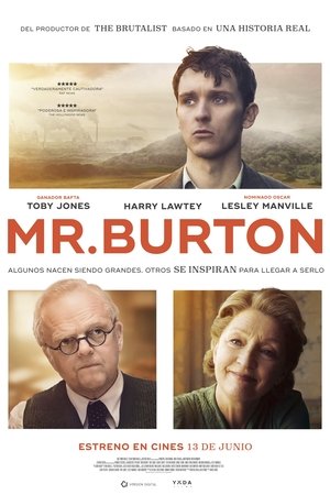 Descargar Mr. Burton Torrent