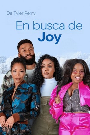 Descargar En busca de Joy Torrent